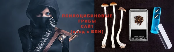 прущая мука Пролетарск