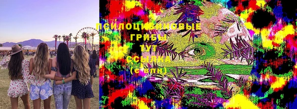 эйфоретик Алзамай
